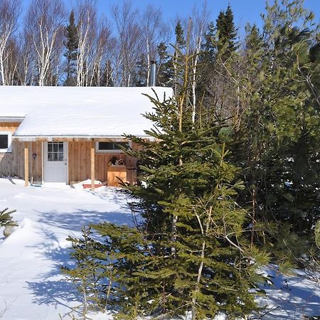 The Sleeping Moose Cottage Birch Plain Eksteriør bilde
