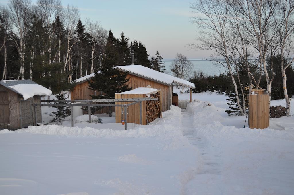 The Sleeping Moose Cottage Birch Plain Eksteriør bilde