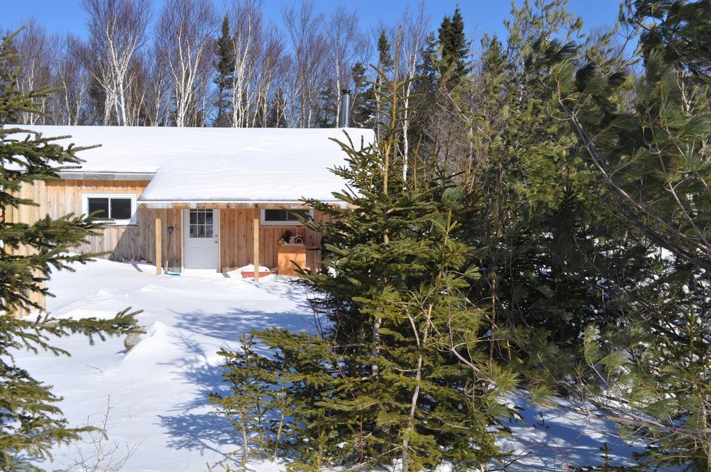 The Sleeping Moose Cottage Birch Plain Eksteriør bilde