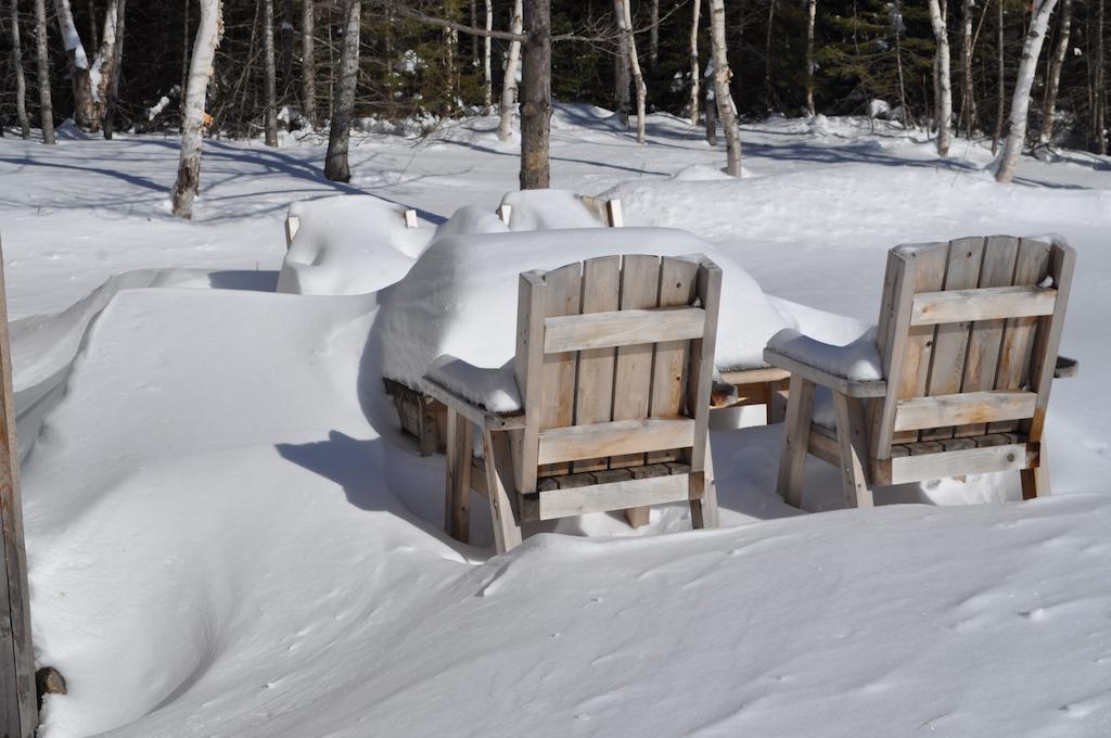 The Sleeping Moose Cottage Birch Plain Eksteriør bilde