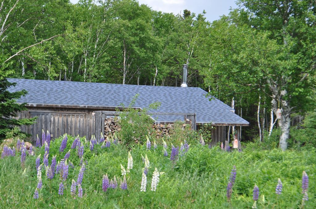 The Sleeping Moose Cottage Birch Plain Eksteriør bilde