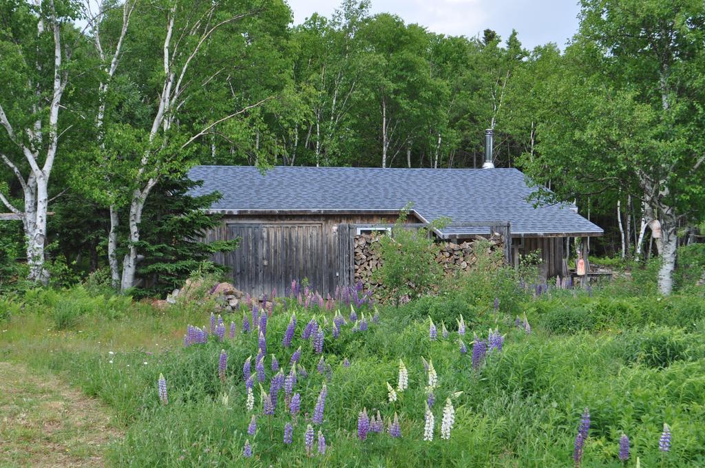 The Sleeping Moose Cottage Birch Plain Eksteriør bilde