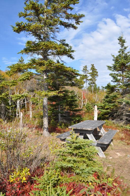 The Sleeping Moose Cottage Birch Plain Eksteriør bilde