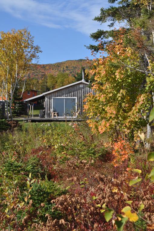 The Sleeping Moose Cottage Birch Plain Eksteriør bilde